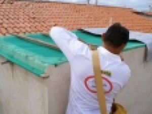 DENGUE - 20 municípios do Ceará estão em risco ou alerta