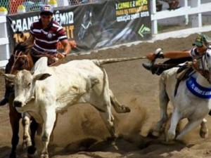 Deputado apresenta projeto que torna vaquejada patrimônio cultural do CE