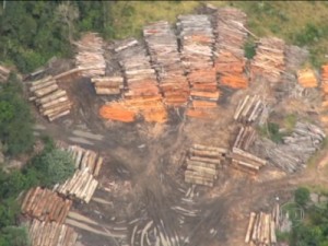 Desmatamento na Amazônia cresce 215% em um ano, segundo o Imazon