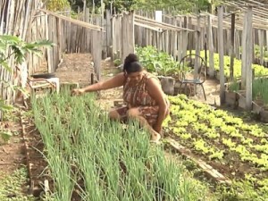 DPU contesta decisão que manda retirar indígenas de terra demarcada