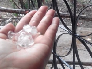 Duas cidades do Ceará registram chuva de granizo