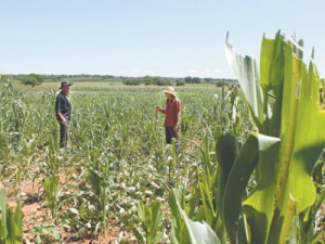 Ematerce e Crediamigo se reúnem com agricultores do Sítio Saco 2