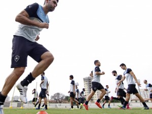 Embalado por boa sequência, Botafogo tenta manter ponta contra o Paraná