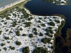 Equipe de buscas por neto de Chico Anysio encontra um corpo na praia