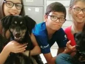 'Eram crianças iluminadas', diz prima de dois dos trigêmeos que morreram afogados no Rio Paraná