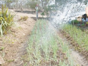 Estado já tem US$ 300 mi para a área hídrica até 2018