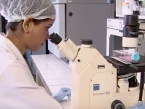 Estado tem R$ 3 milhões para estudo sobre microcefalia e arboviroses