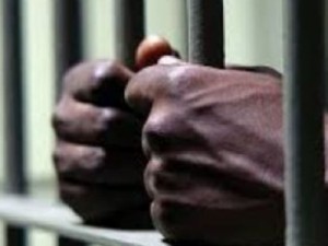 Estudo revela que SP tem maior taxa de encarceramento de negros do país