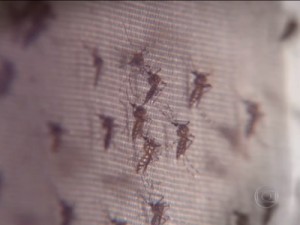 EUA confirmam caso de microcefalia por contágio do vírus zika no Brasil