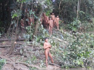 Expedição a índios isolados, emoção no reencontro de parentes', diz Funai