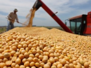 Exportação de soja alcança 9 milhões de toneladas, e bate recorde no mês de junho