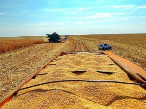 Faturamento da agropecuária brasileira atinge recorde de R$ 630 bilhões em 2019, diz ministério