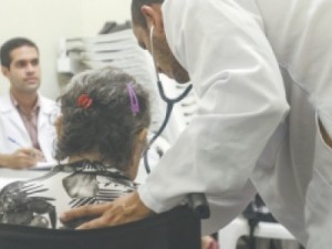 FÍGADO HUWC realiza o maior número de transplantes