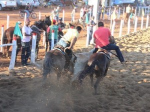 'Foi uma luta de 20 anos', diz ativista sobre fim da vaquejada no Ceará