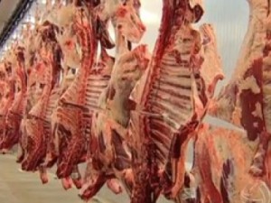 Frigorífico de Mirassol D´Oeste fecha unidade e demite 701 funcionários