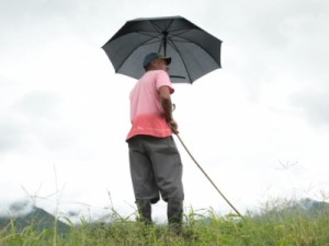 Funceme prevê 45% de chances de chuvas acima da média no Ceará em 2020