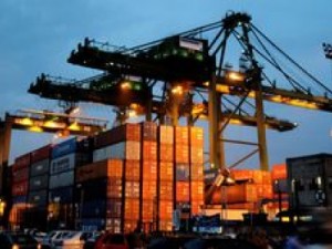 Governo adota normas de exportação adaptadas ao padrão internacional