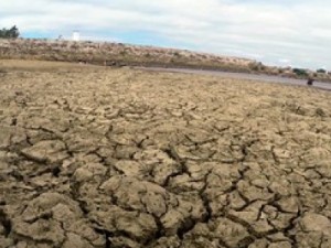 Governo decreta calamidade em 153 municípios do RN por causa da seca