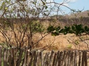 Governo decreta situação de emergência no Piauí, Bahia e Alagoas