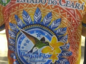 Governo do Ceará nega repasse financeiro à Beija-Flor