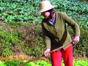 Governo Federal lança plano de cuidados para mulheres do campo