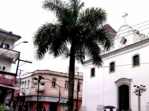 Homem é atacado por suspeito com barra de ferro e estuprado em SP