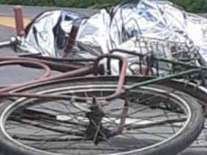 Homem morre atropelado em Milagres, e agricultor morre atacado por abelhas em Salitre