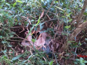 Homem morto à tiros e corpo esquartejado dentro de um saco