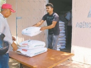 Hora de Plantar distribui sementes