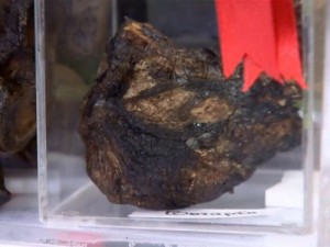 Imagens inéditas mostram exumação de padre com coração preservado