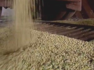 Importação de soja pela China deve cair diante de disputa com EUA, prevê consultoria