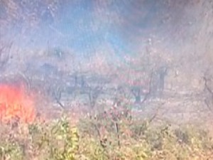 Incêndio destrói três hectares de área de preservação no Crato, sul do CE