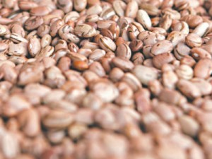 Inflação desacelera na RMF em setembro; maior do País no ano