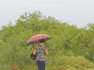 Interior do Ceará registra chuvas de até 96 mm nesta quarta-feira (11)