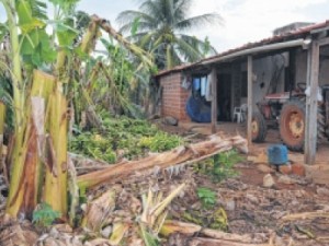 Irrigantes buscam apoio para pagar prejuízos de vendaval