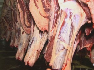 JBS, BRF e Marfrig não estão na lista de frigoríficos que podem vender carne para a Rússia