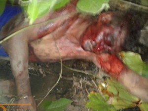 Juazeiro do Norte - Mulher mata comanheiro em briga de casal