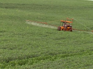 Liberação de agrotóxicos em 2019 é recorde