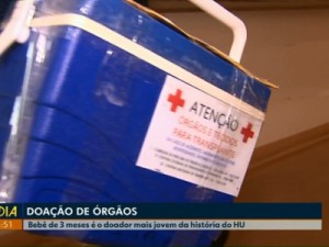 Mãe doa rins de bebê de três meses: "Ajudar outra mãezinha"