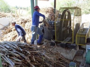 Mais de 30 barbalhenses trabalham no engenho da Expocrato