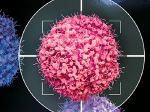 Medicina personalizada contra o câncer: mais eficiência e acessibilidade