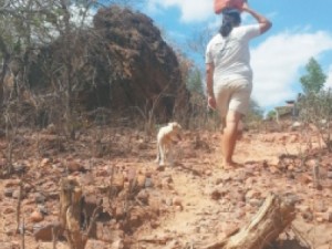 Mesmo com chuva, cearenses não têm como armazenar água