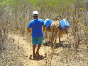 Meteorologia reforça tendência de seca no Ceará