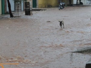 Milagres registrou a maior chuva desta quarta-feira (8)