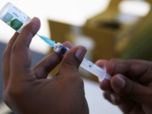 Minas Gerais decreta estado de emergência por causa do surto de febre amarela