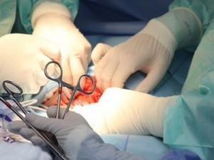 Ministério da Saúde amplia oferta de medicamentos a crianças que realizaram transplante de fígado