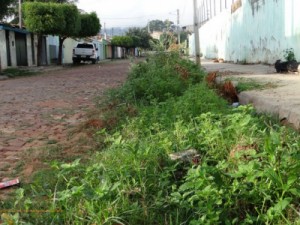 Moradores da Rua L 05 pedem capinação