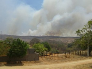 Moradores relatam incêndio em mata de Aurora que já dura três dias