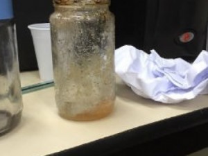 Morre camareira atacada há 58 dias na Bahia por colega com soda cáustica