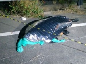 Motociclista morre e esposa fica ferida em grave acidente na Barra